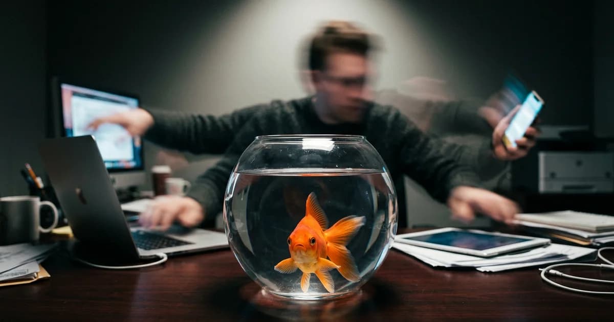 A ciência desmontou o mito da atenção de 8 segundos